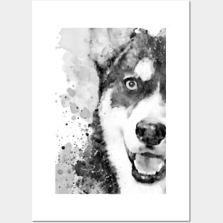 Black And White Half Faced Husky Dog Posters and Art